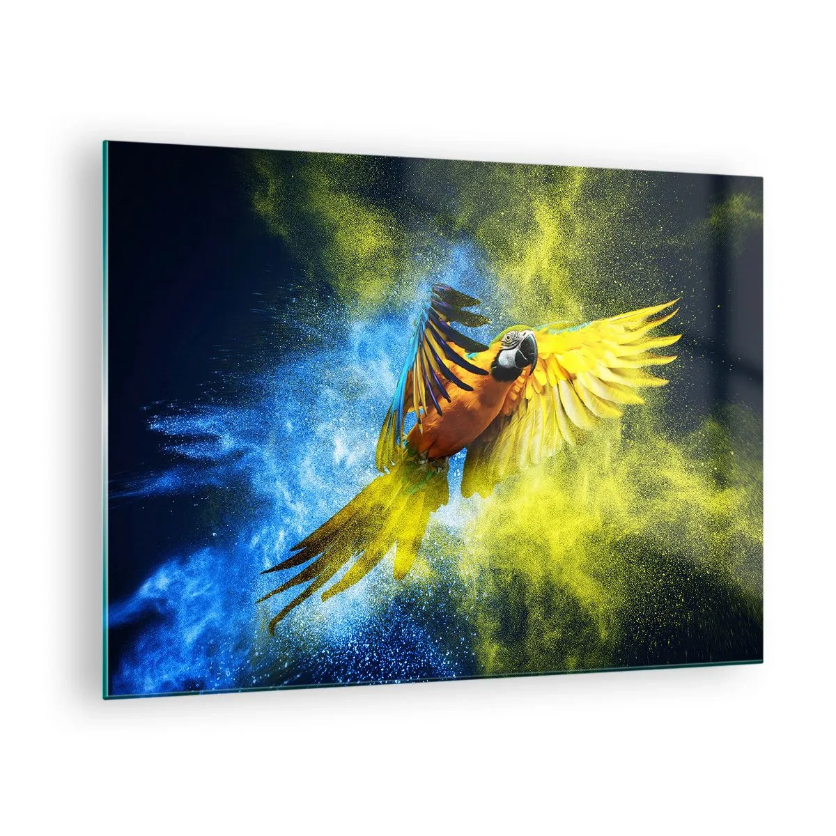 Glastavla - Bild på glas - En färgglad papegoja i flykt mot en gul och blå bakgrund - 70x50cm - I blå-gult damm - Modern väggdekoration för vardagsrum och sovrum ARTTOR