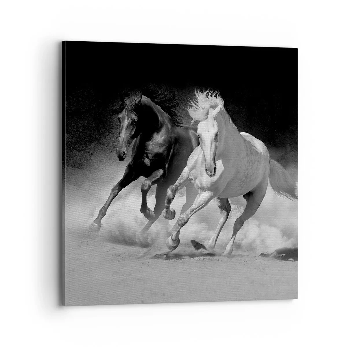 Canvastavla - Bild på duk - Frihetens galopp - 70x70 cm