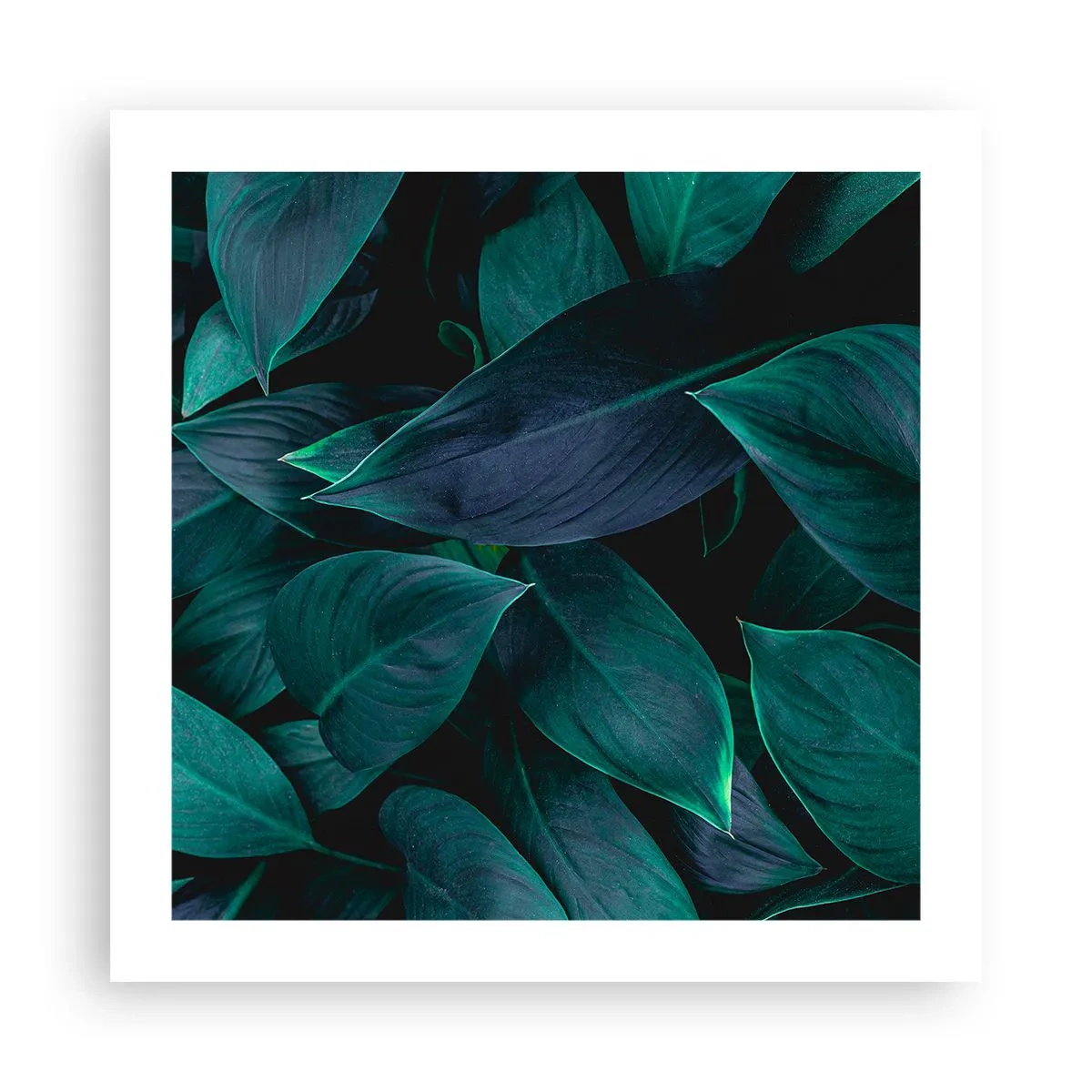 Affisch - Grönskan själv - 50x50 cm