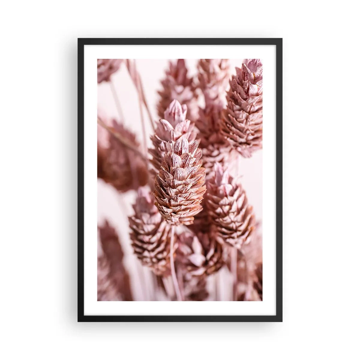 Affisch i svart ram - Närbild av torkade blommor i nyanser av rosa - 50x70cm - Skenet bedrar - Modern väggdekoration för vardagsrum och sovrum ARTTOR