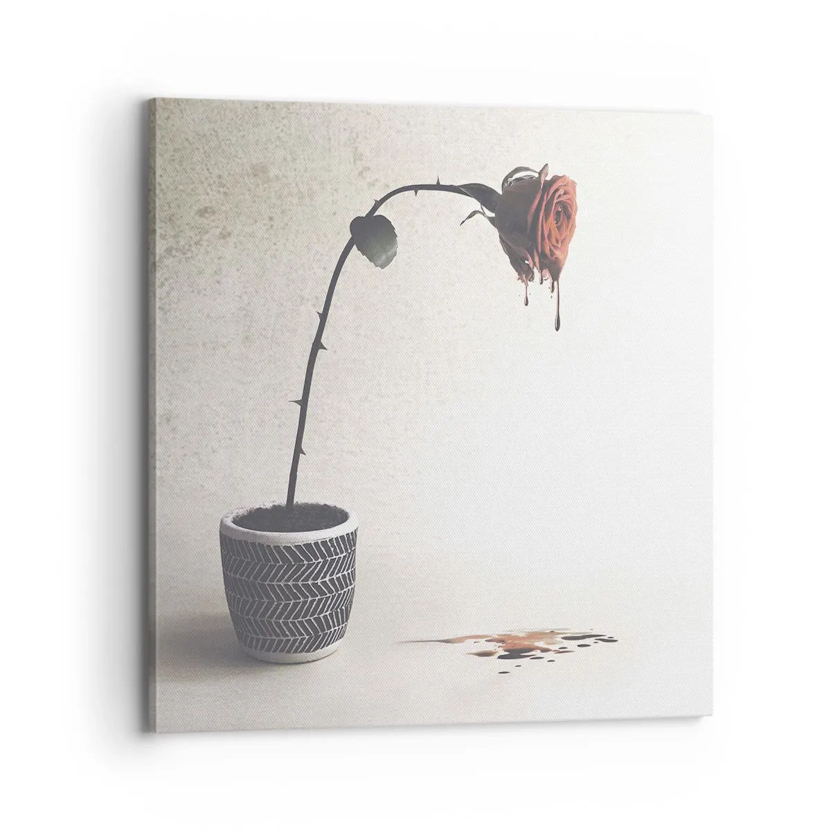 Canvastavla - Bild på duk - Rosa dolorosa - 70x70 cm