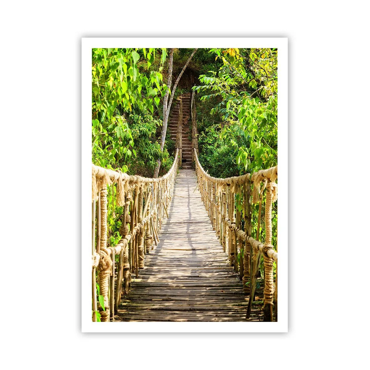 Affisch - Upphängd i grönskan - 70x100 cm