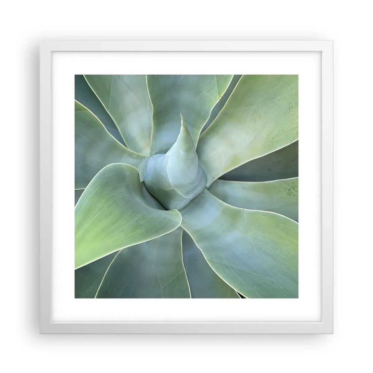 Affisch i vit ram - Det gröna föds - 40x40 cm