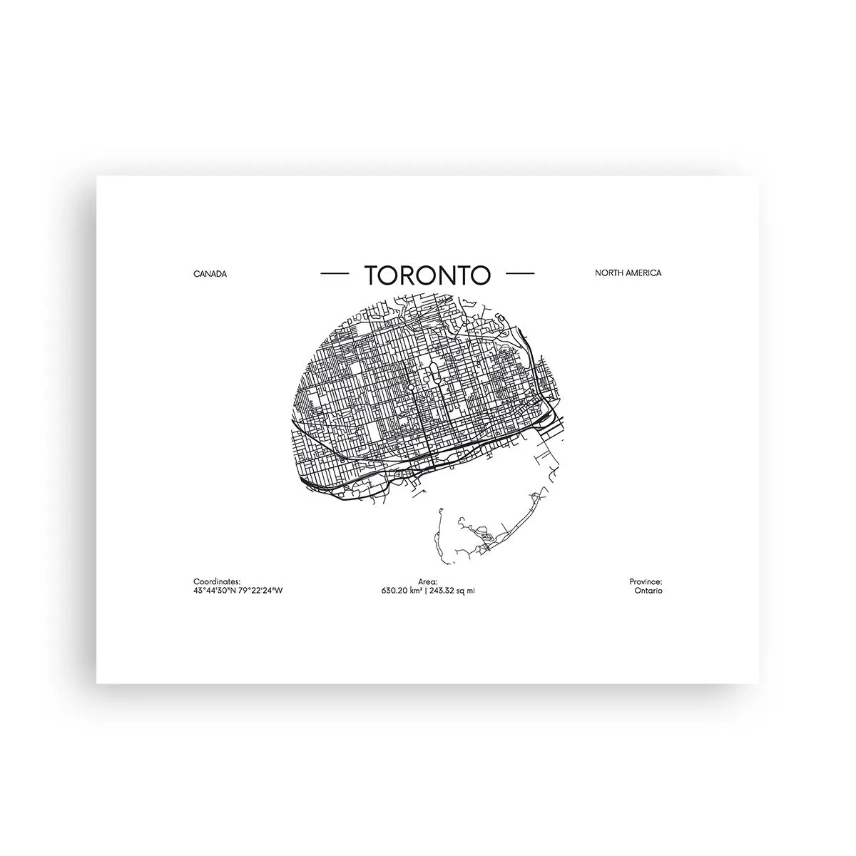 Affisch - Torontos anatomi - 40x30 cm