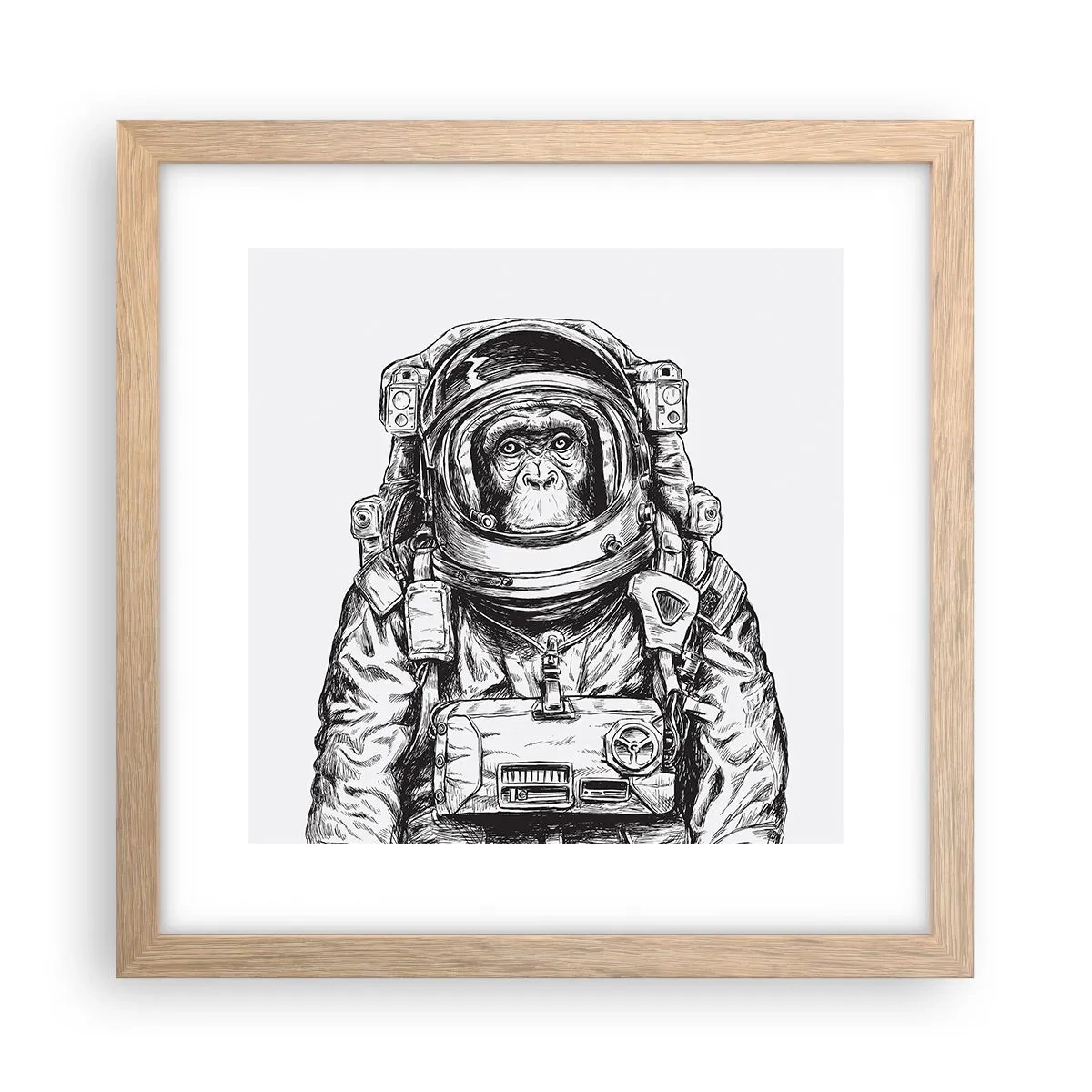 Affisch i ram av ljusek - Alternativ evolution - 30x30 cm