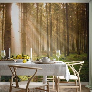 Fototapet Premium Sand - Snart kommer alverna - Skog, Solens strålar, Natur - 500x350 cm