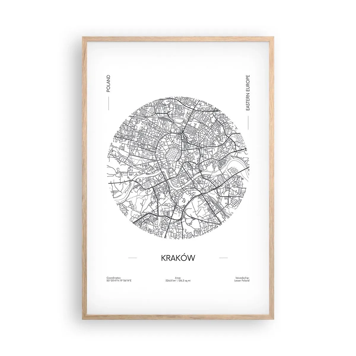 Affisch i ram av ljusek - Krakóws anatomi - 61x91 cm