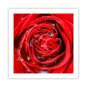 Affisch - Daggdroppar - 50x50 cm