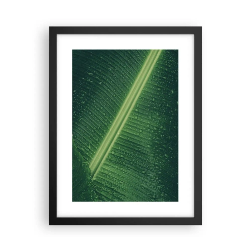 Affisch i svart ram - Grönskans struktur - 30x40 cm