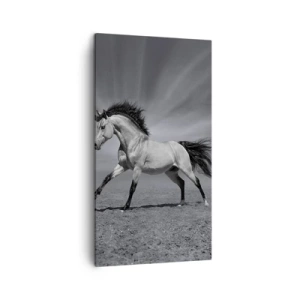 Canvastavla - Bild på duk - Född för att förtjusa - 45x80 cm