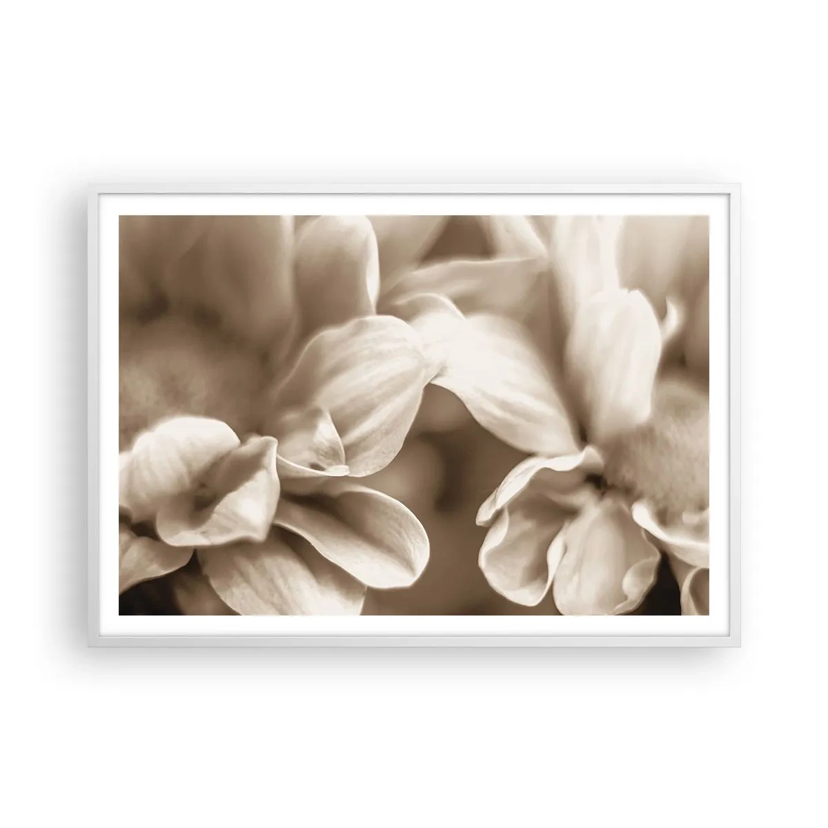 Affisch i vit ram - Milda som ett leende - 100x70 cm