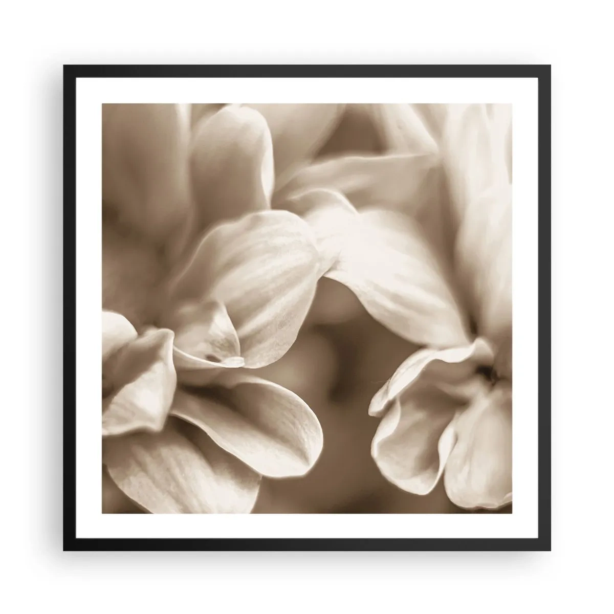 Affisch i svart ram - Milda som ett leende - 60x60 cm