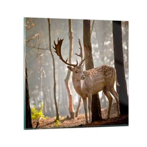 Glastavla - Bild på glas - Ungdomens ljus - 50x50 cm