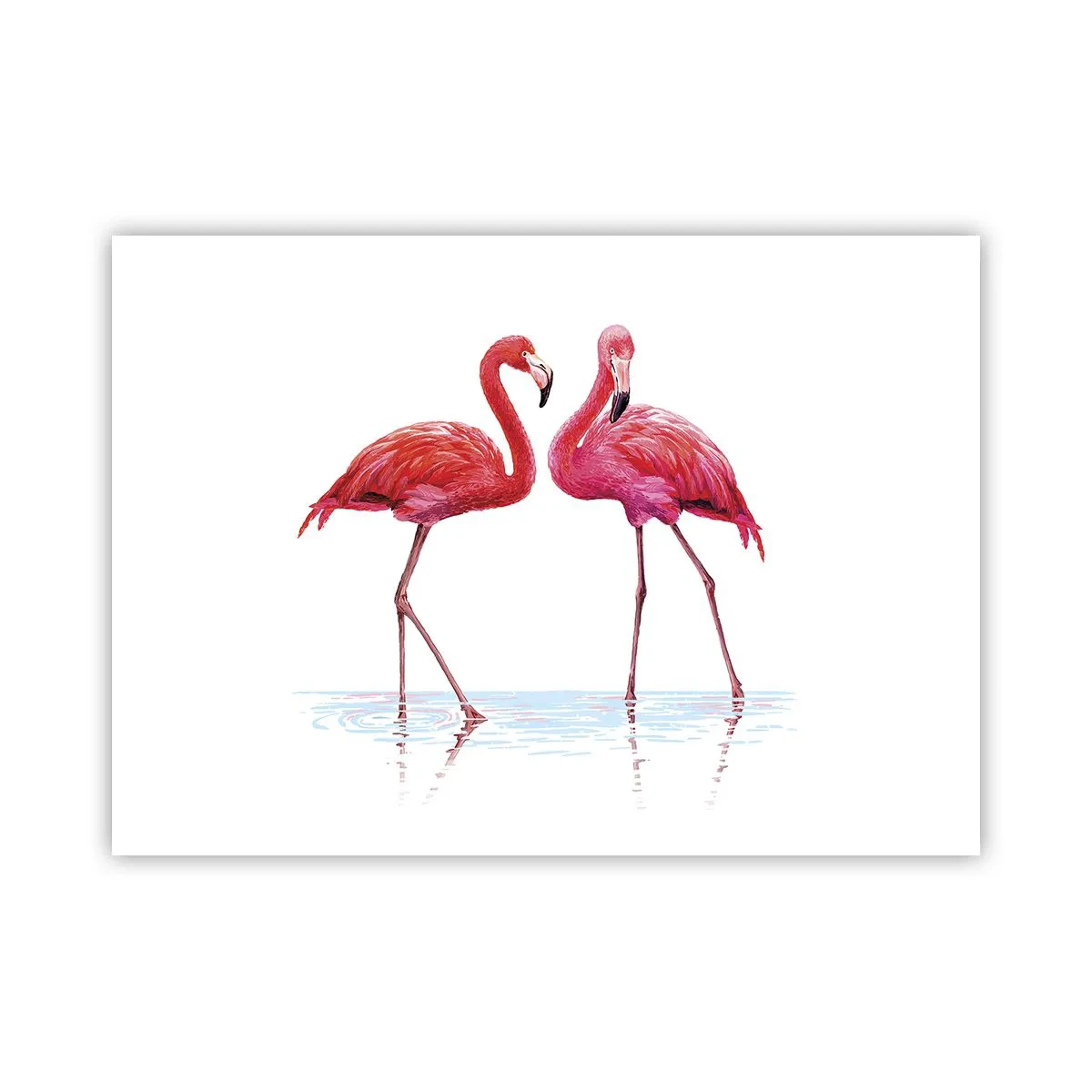 Affisch - Rosa rendez-vous - 70x50 cm