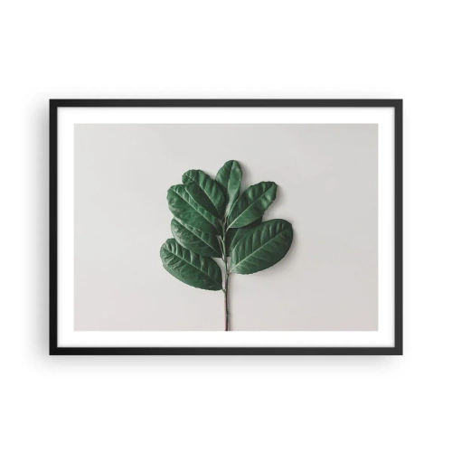 Affisch i svart ram - Själva naturens bild - 70x50 cm