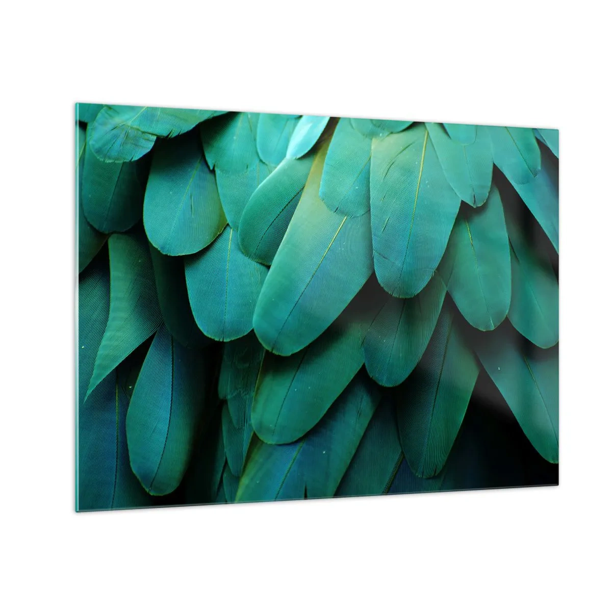 Glastavla - Bild på glas - En närbild av en papegojas intensivt gröna fjädrar. - 70x50cm - Precision av papegojans natur - Modern väggdekoration för vardagsrum och sovrum ARTTOR
