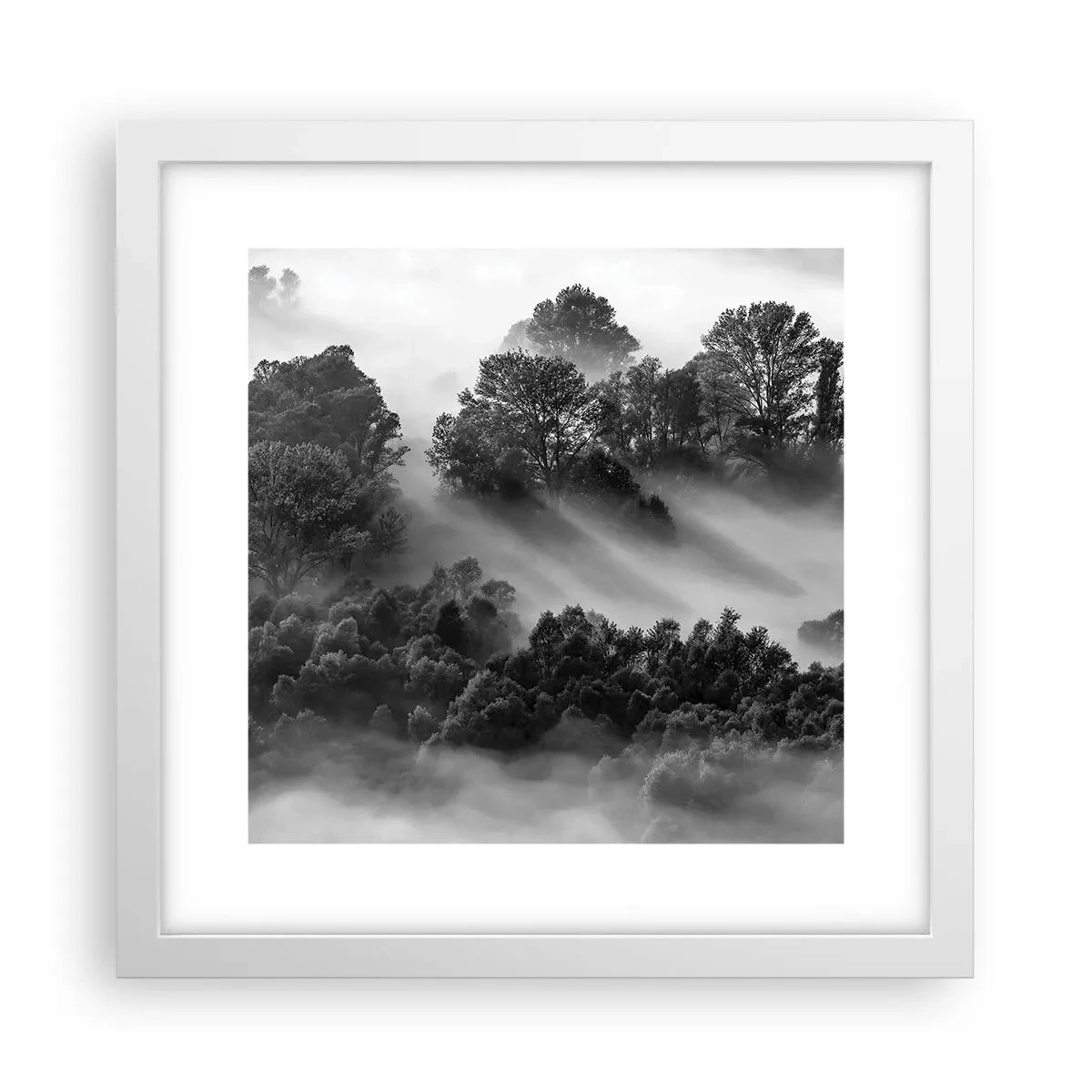 Affisch i vit ram - Stiger ur sömnen - 30x30 cm