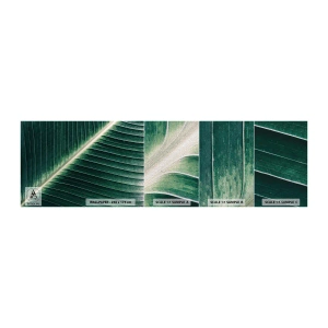 Provbit av fototapet Premium Canvas - Naturens rytm - Abstraktion, Grönt löv, Grafik - 100x30 cm