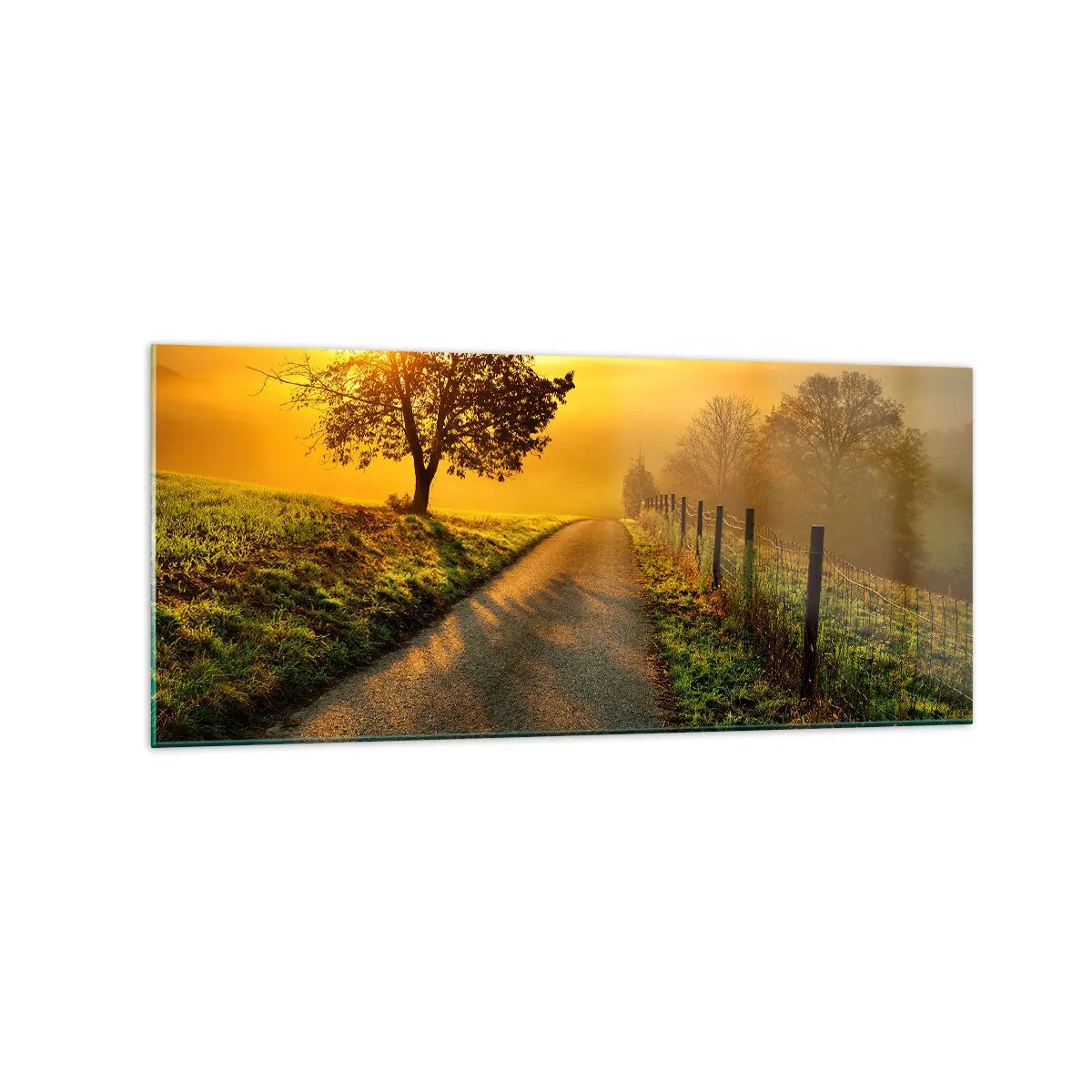 Glastavla - Bild på glas - Honungfärgad eftermiddag - 120x50 cm