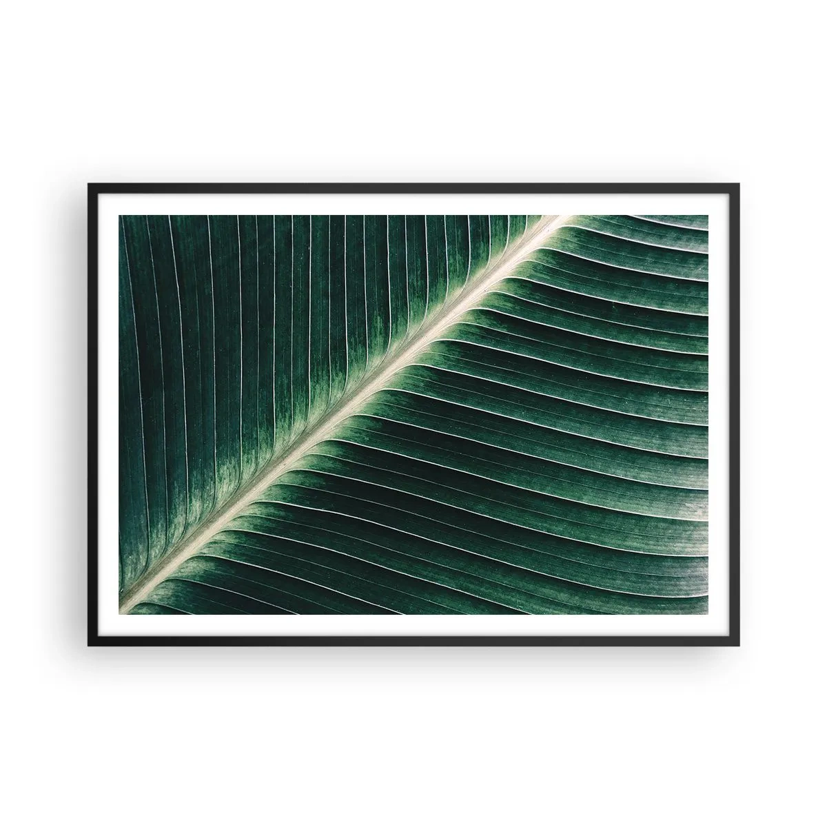 Affisch i svart ram - Naturens rytm - 100x70 cm