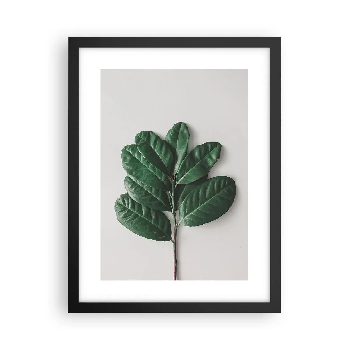 Affisch i svart ram - Själva naturens bild - 30x40 cm