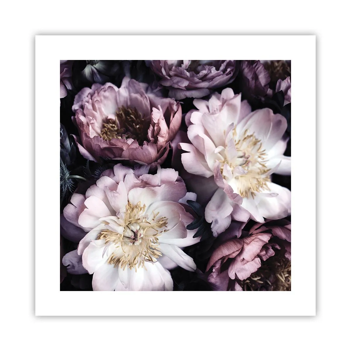 Affisch - En bukett i gammal stil - 40x40 cm