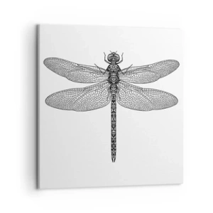 Canvastavla - Bild på duk - Precision i naturen - 50x50 cm