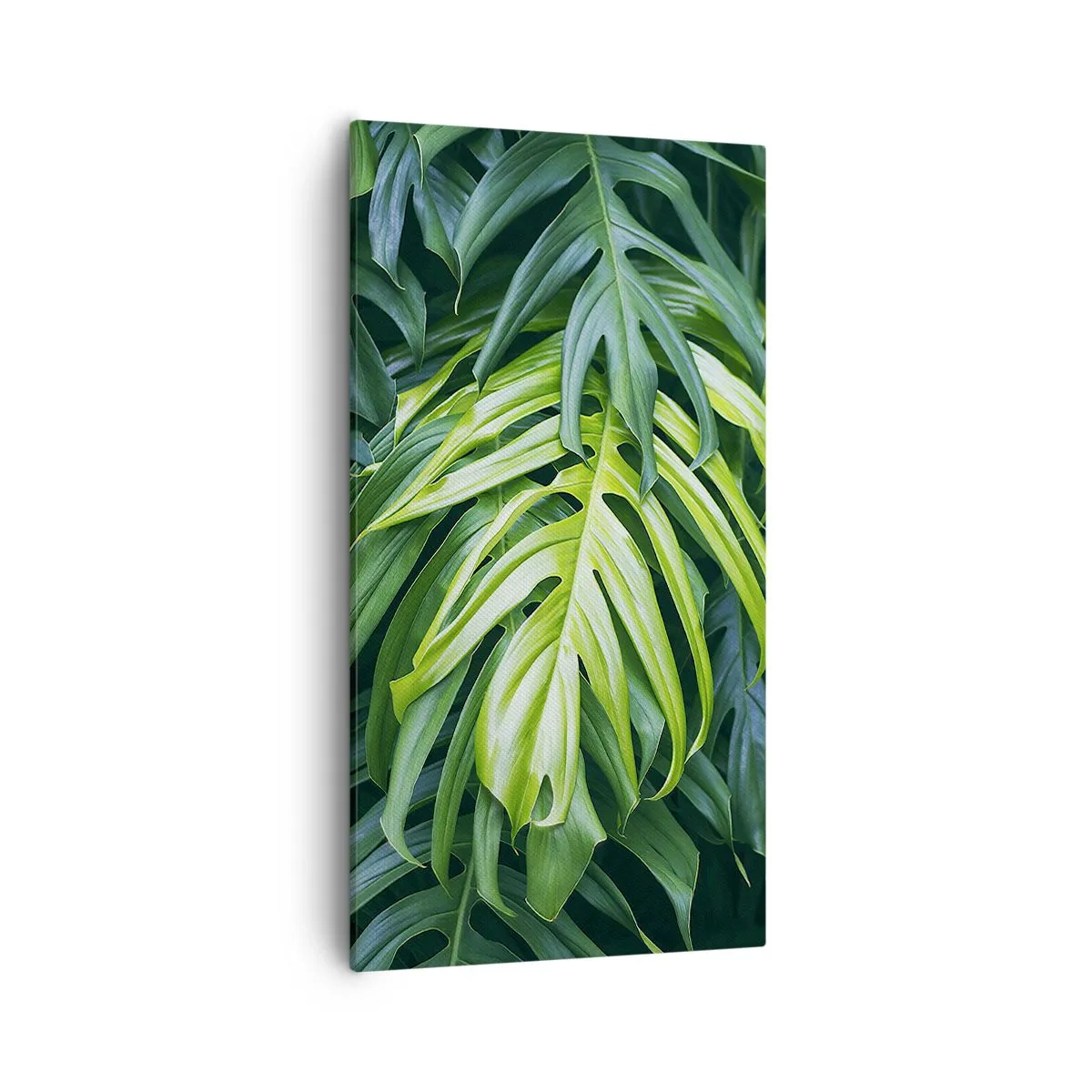 Canvastavla - Bild på duk - Doppa sig i fräschheten - 55x100 cm