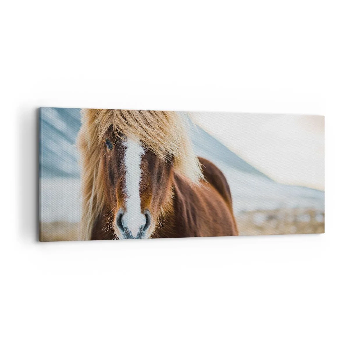 Canvastavla - Bild på duk - Känner du friheten? - 100x40 cm