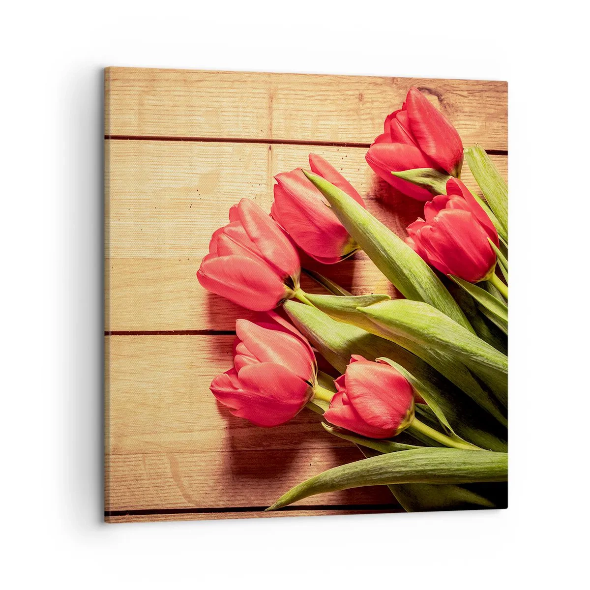 Canvastavla - Bild på duk - Vårförklaran - 50x50 cm