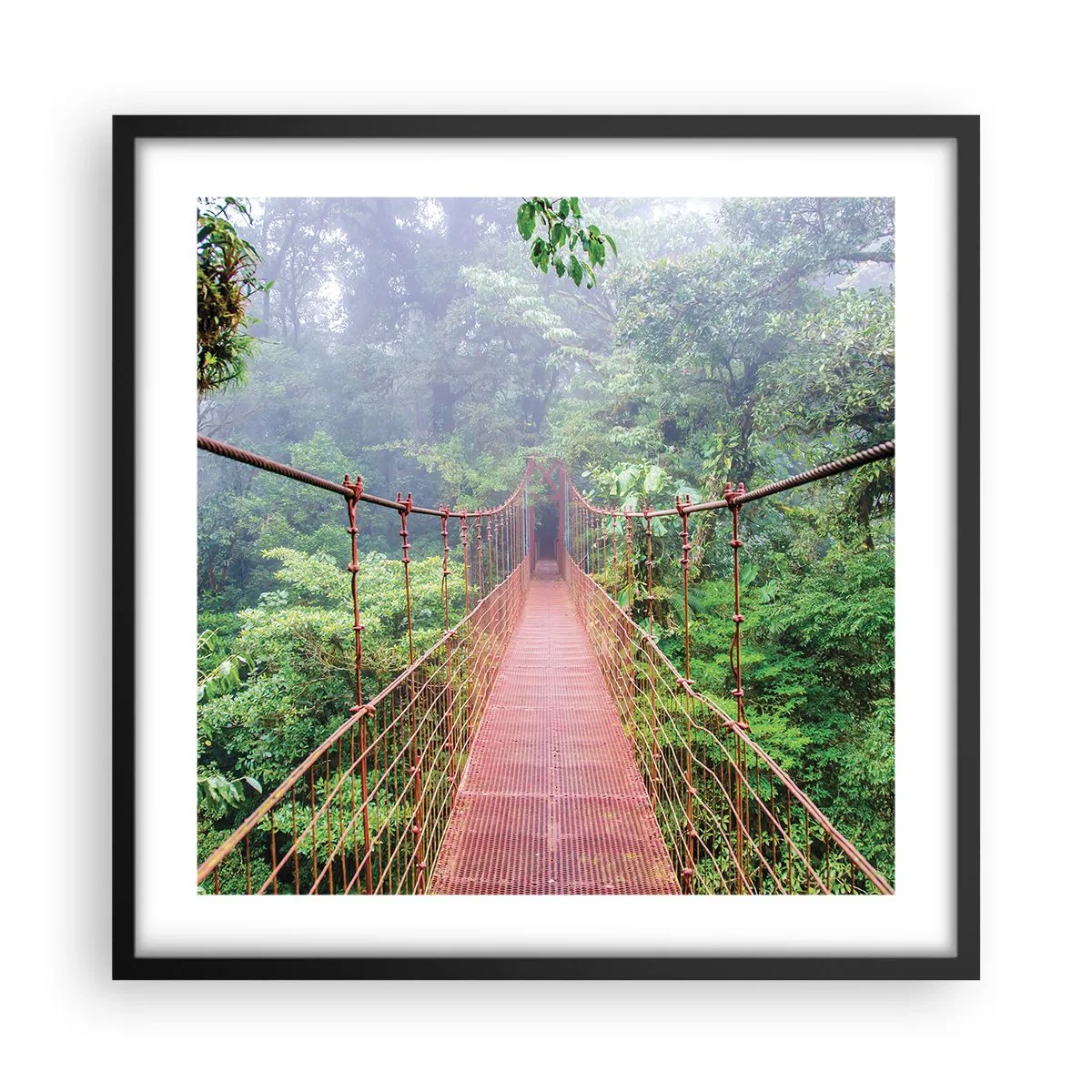 Affisch i svart ram - Upphängd i trädkronorna - 50x50 cm