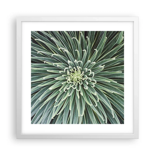 Affisch i vit ram - Stjärna föds - 40x40 cm