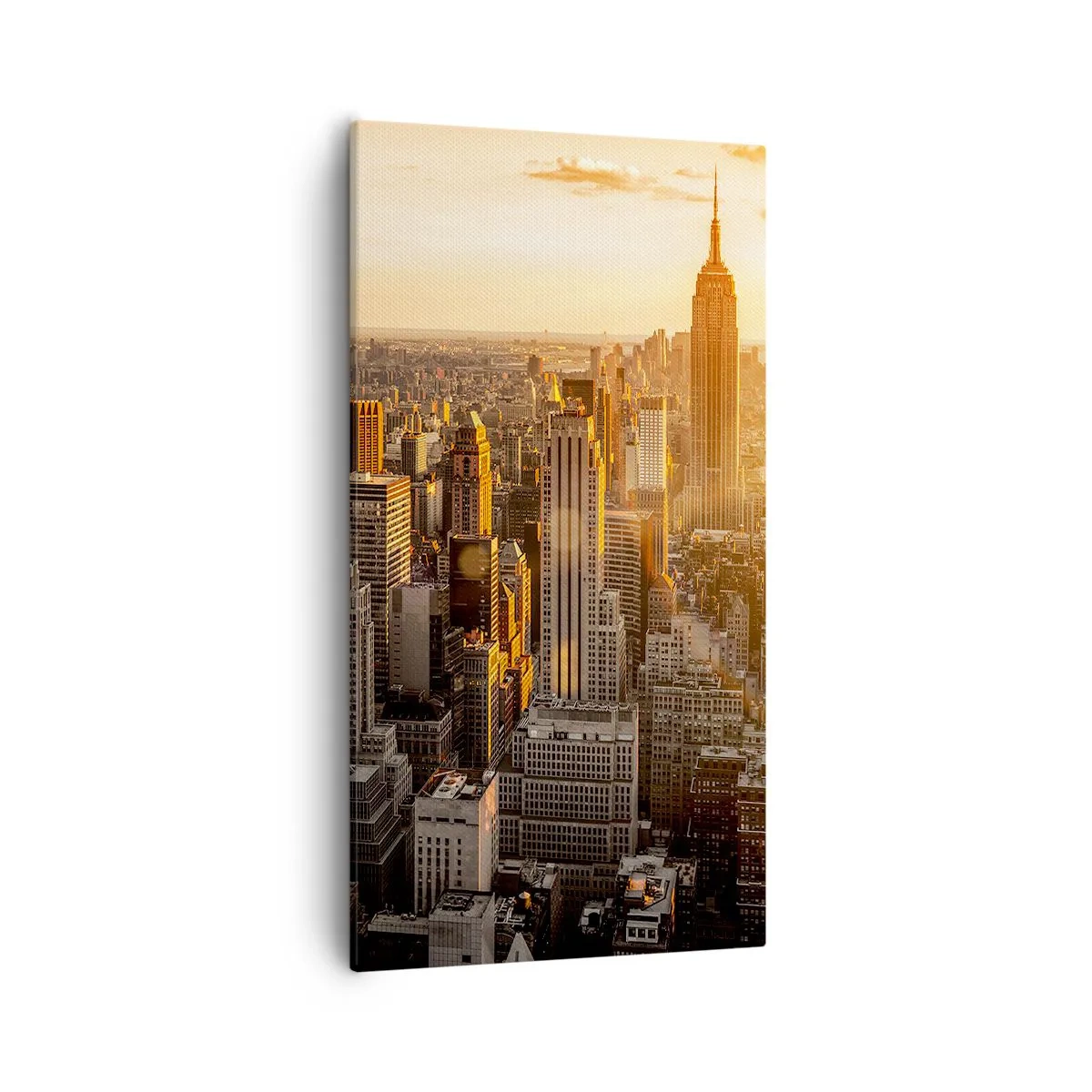 Canvastavla - Bild på duk - Växa i solskenet - 55x100 cm