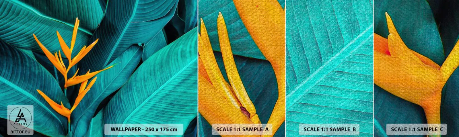 Provbit av fototapet Premium Canvas - Edens blomma - Strelitzia Royal, Blomma, Afrika - 100x30 cm