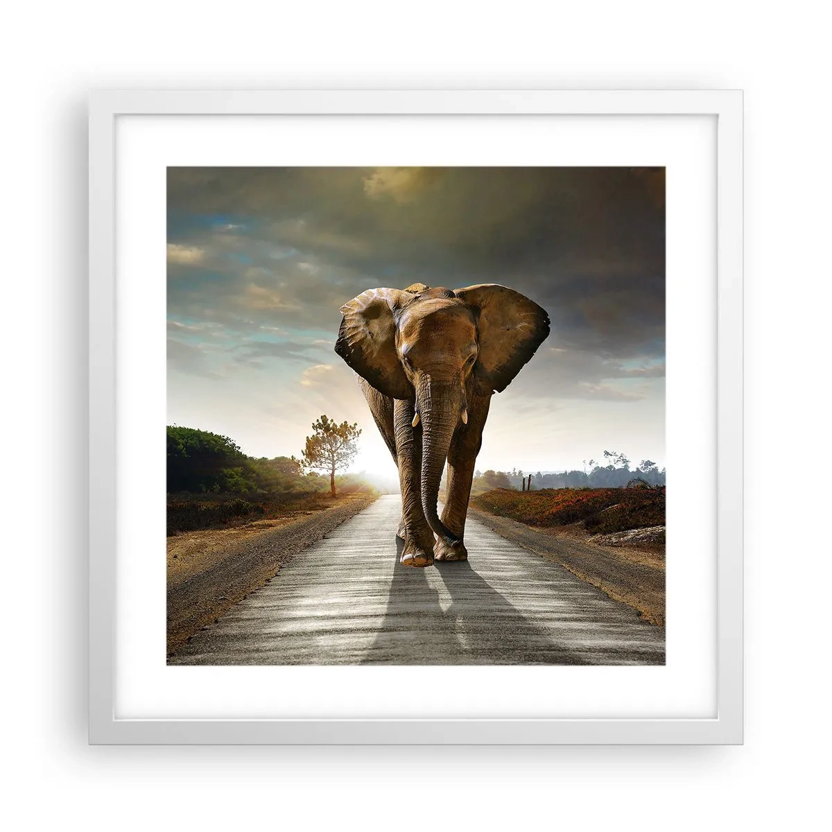 Affisch i vit ram - Inte alls i en porslinsbutik - 40x40 cm