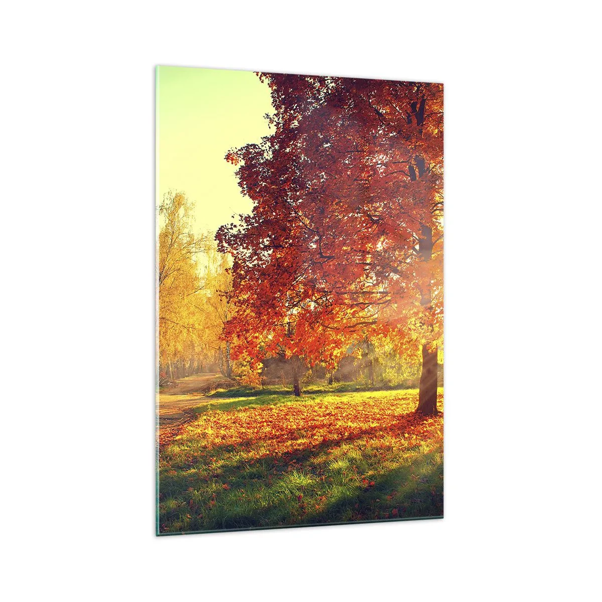 Glastavla - Bild på glas - Rött är vackert - 70x100 cm