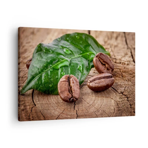Canvastavla - Bild på duk - Kaffebönor och grönt blad på en träbakgrund - 70x50cm - Äkta och svart - Modern väggdekoration för vardagsrum och sovrum ARTTOR