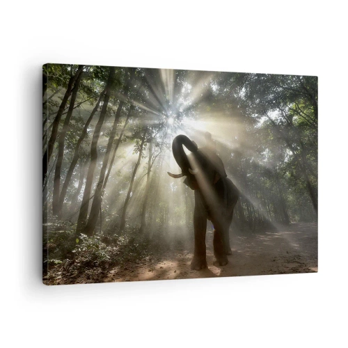 Canvastavla - Bild på duk - En elefant i skogen omgiven av ljusstrålar i morgondimman - 70x50cm - Under en lycklig stjärna - Modern väggdekoration för vardagsrum och sovrum ARTTOR