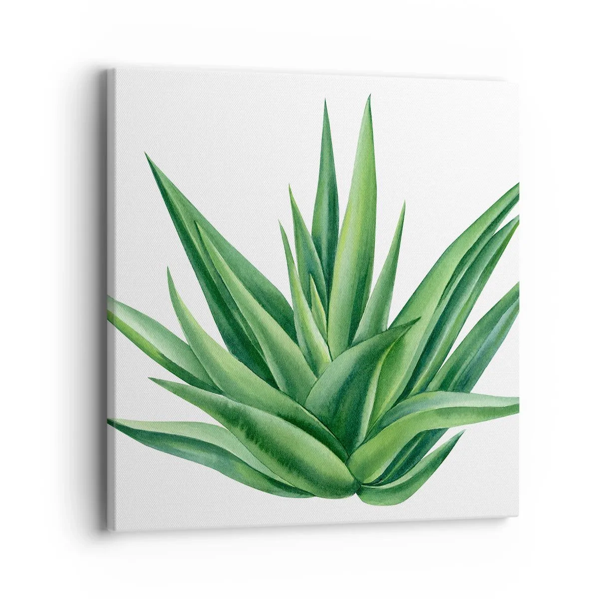 Canvastavla - Bild på duk - Grönt - styrka - liv - 40x40 cm