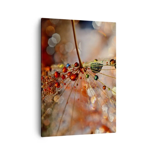 Canvastavla - Bild på duk - Trädda på spindelnät - 50x70 cm