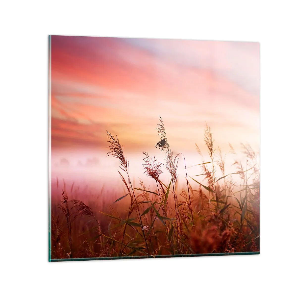Glastavla - Bild på glas - Drakar, maskrosor, vind - 30x30 cm