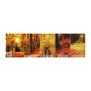 Provbit av fototapet Premium Canvas - Gyllene höst på en skogsväg - Höst, Skog, Landskap - 100x30 cm