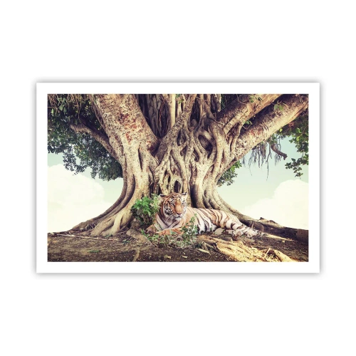 Affisch - Vi från Första Moseboken - 91x61 cm