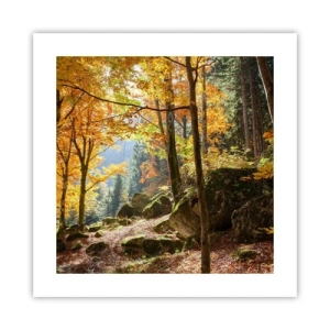 Affisch - Dags att vila - 40x40 cm