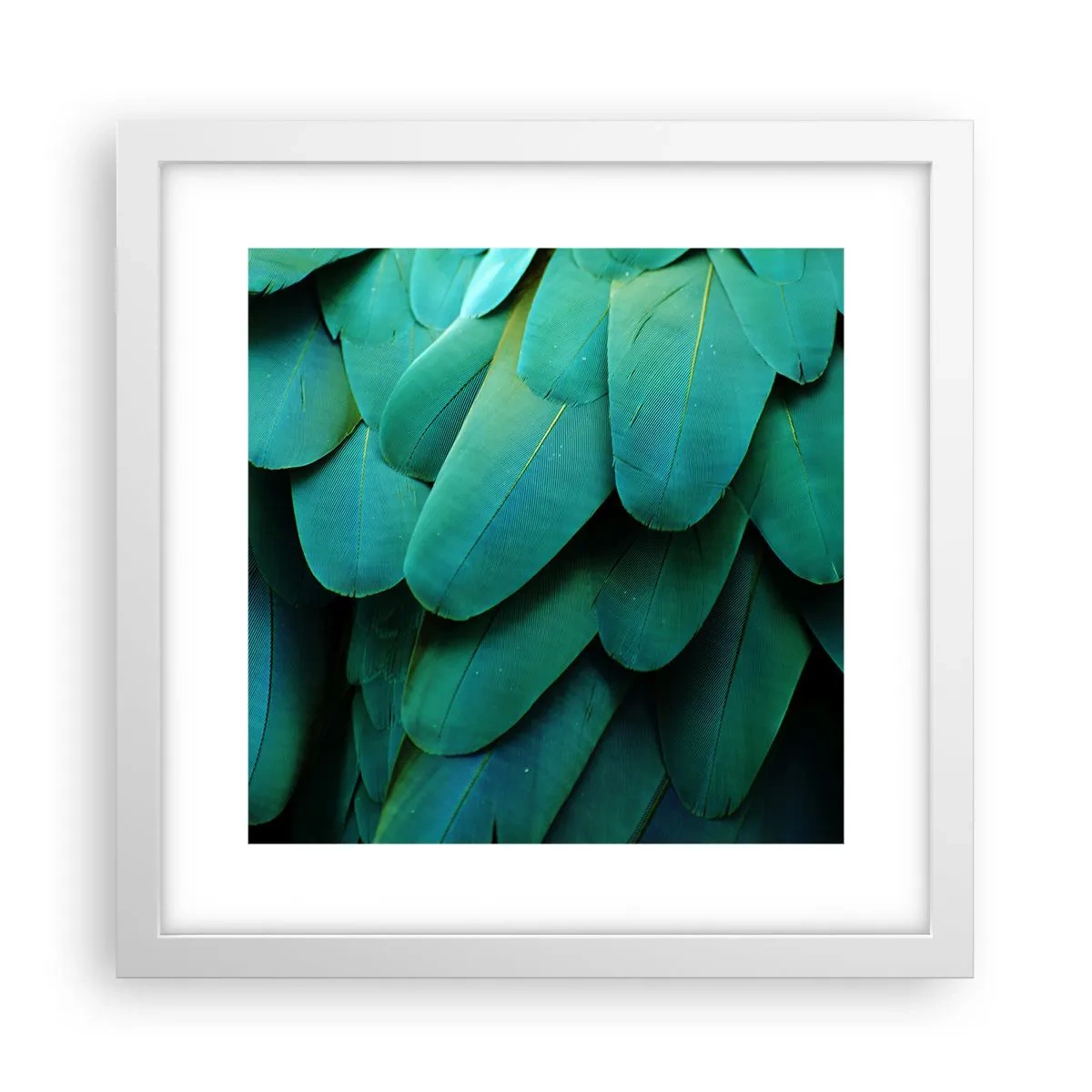 Affisch i vit ram - Precision av papegojans natur - 30x30 cm