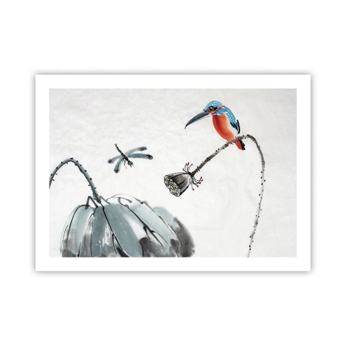 Affisch - Ängens liv - 70x50 cm