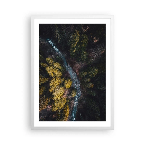 Affisch i vit ram - Snabbt, allt snabbare - 50x70 cm