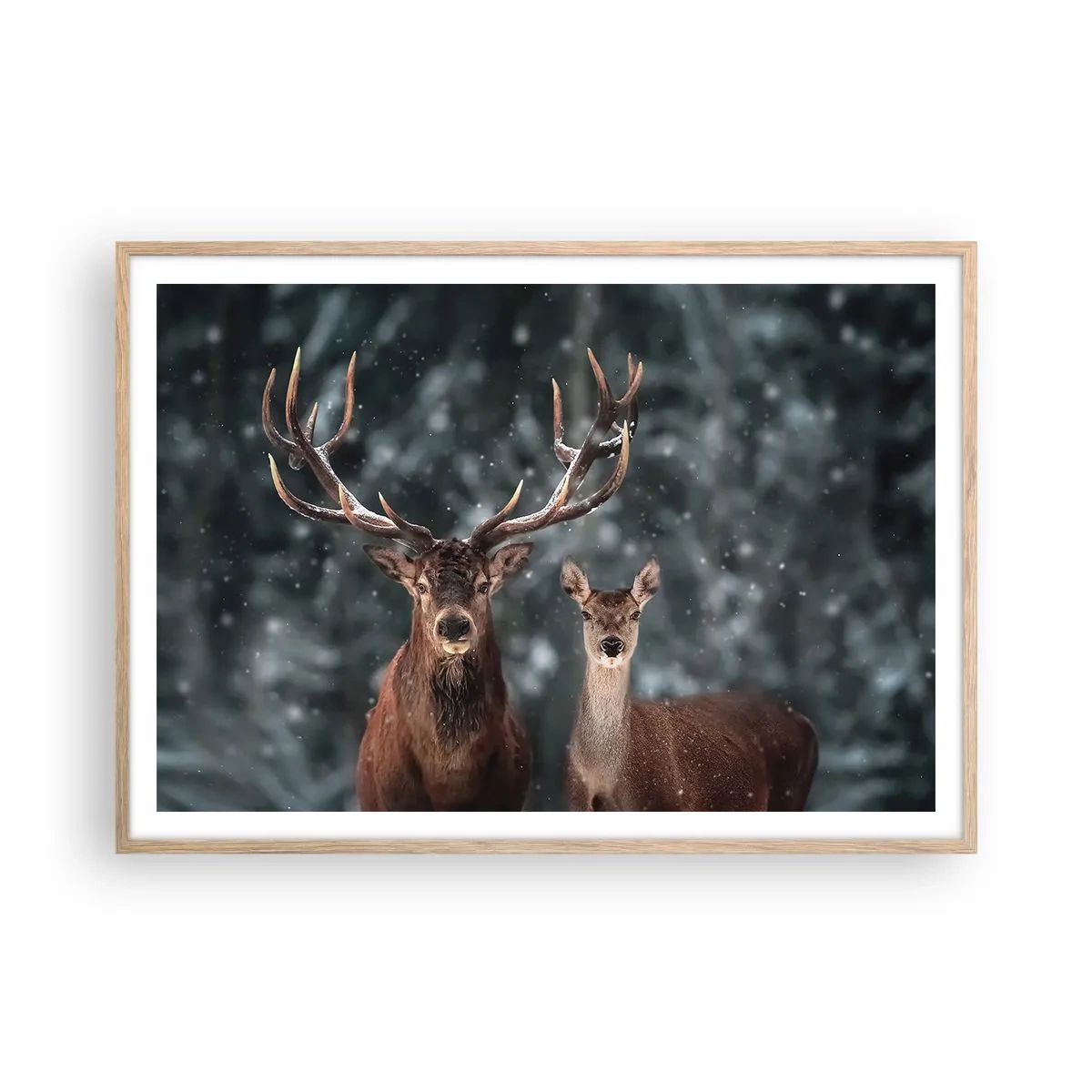 Affisch i ram av ljusek - Skogens herre med hustrun - 100x70 cm