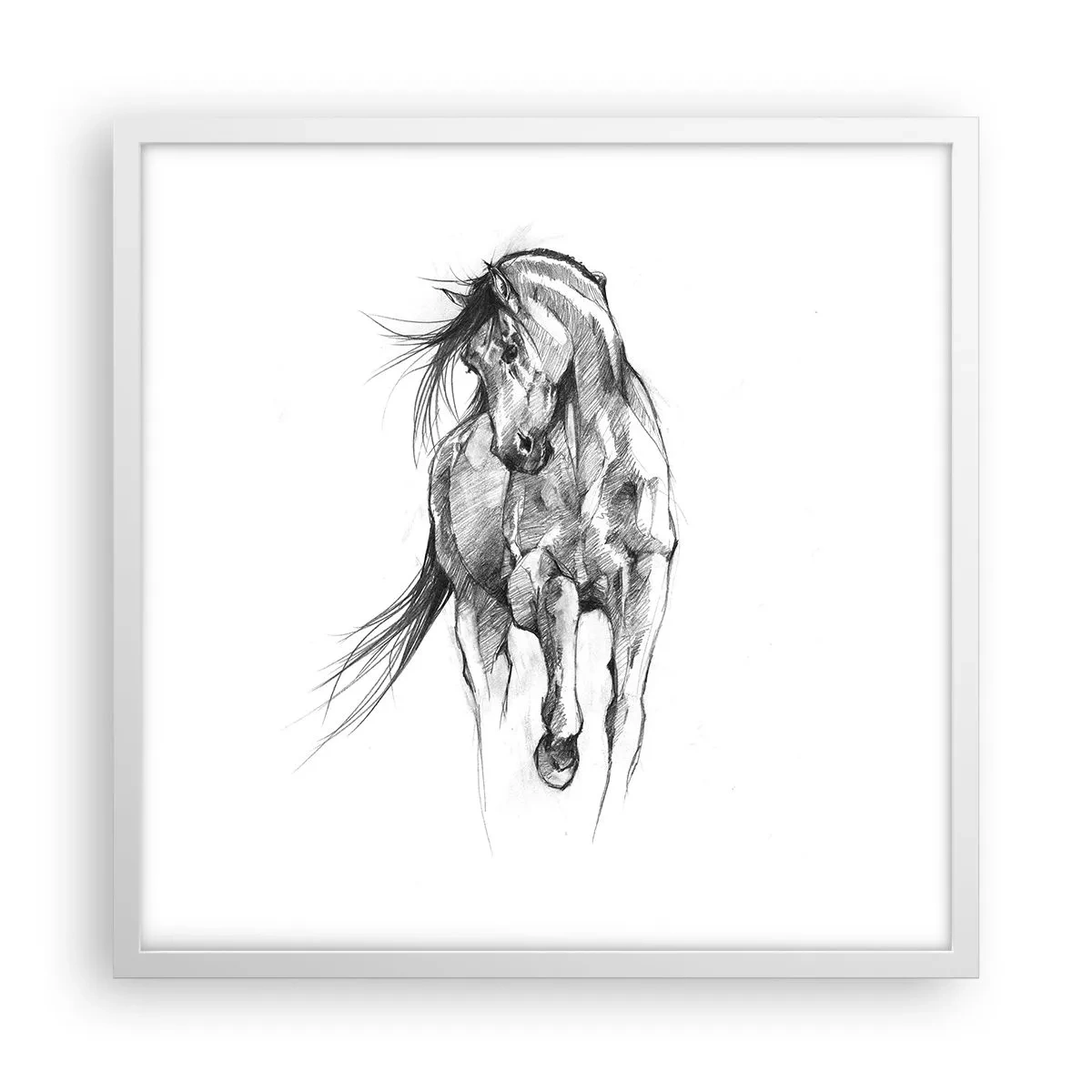 Affisch i vit ram - Elegant trav - 50x50 cm