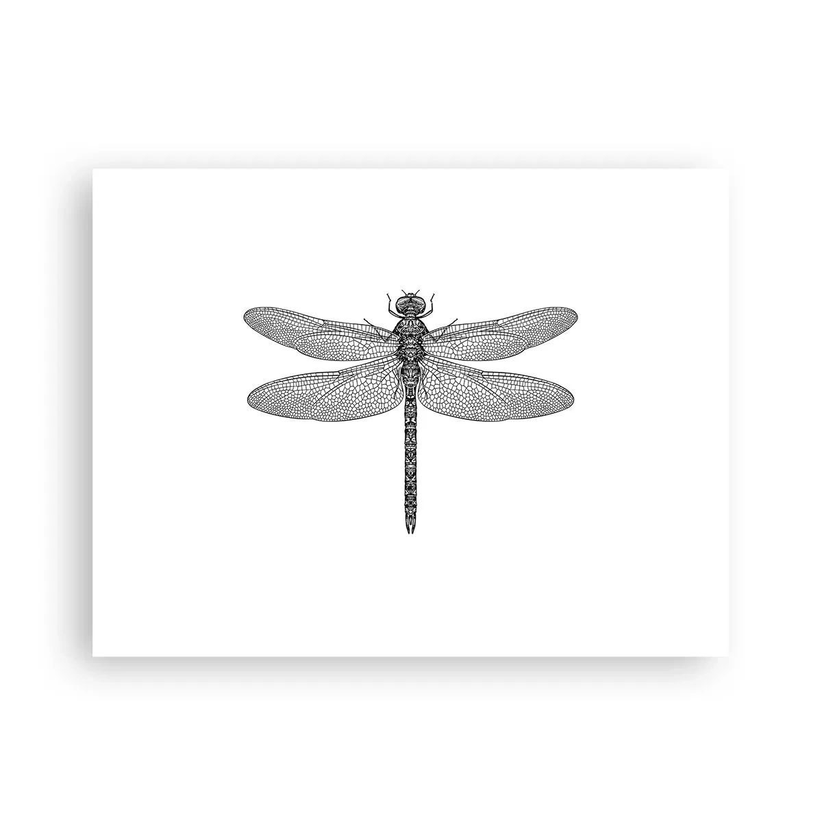 Affisch - Precision i naturen - 40x30 cm